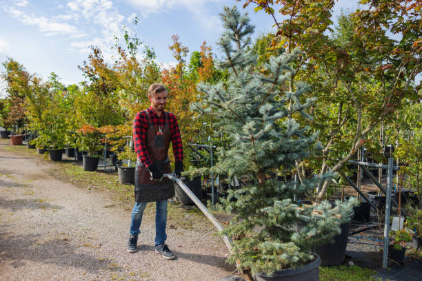 Professional Tree Service in Ishpeming, MI